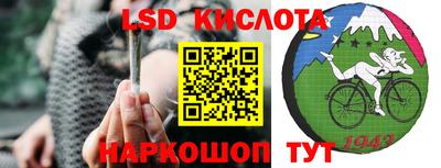 гидропоника Гусиноозёрск