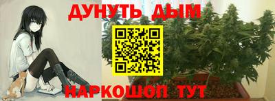 гидропоника Гусиноозёрск