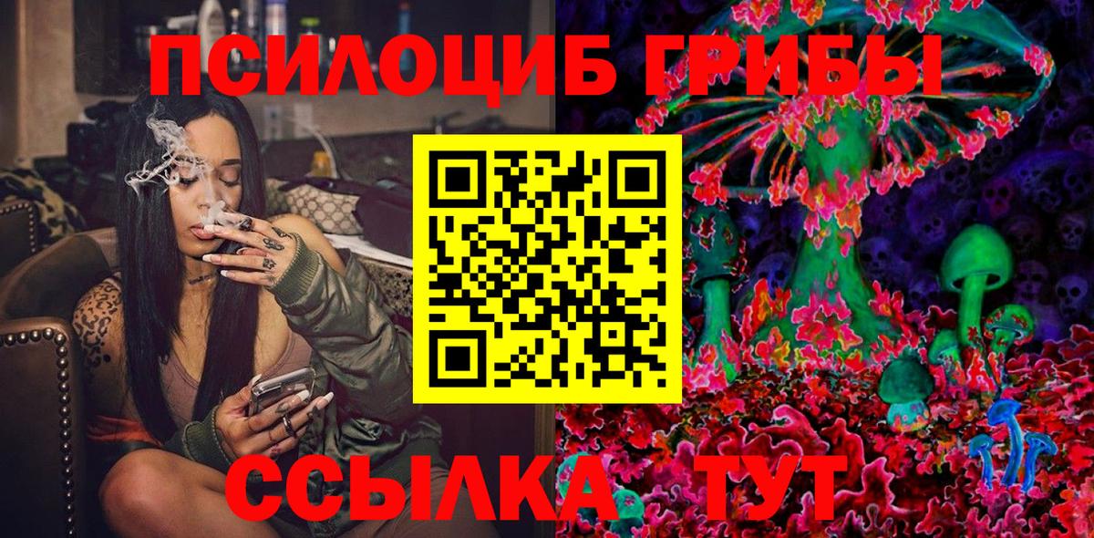 Мыски  Псилоцибиновые грибы мухоморы  Вход с VPN 