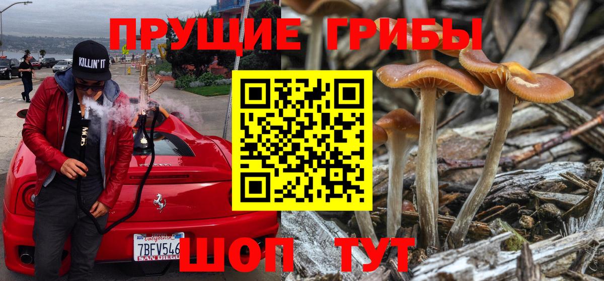 Галлюциногенные грибы Cubensis Мыски